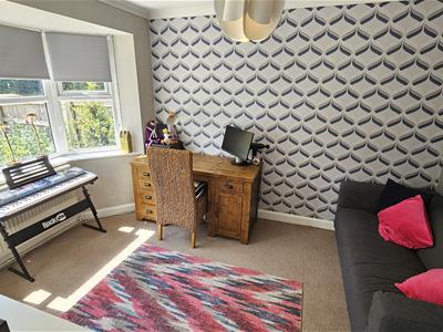 Picture 14